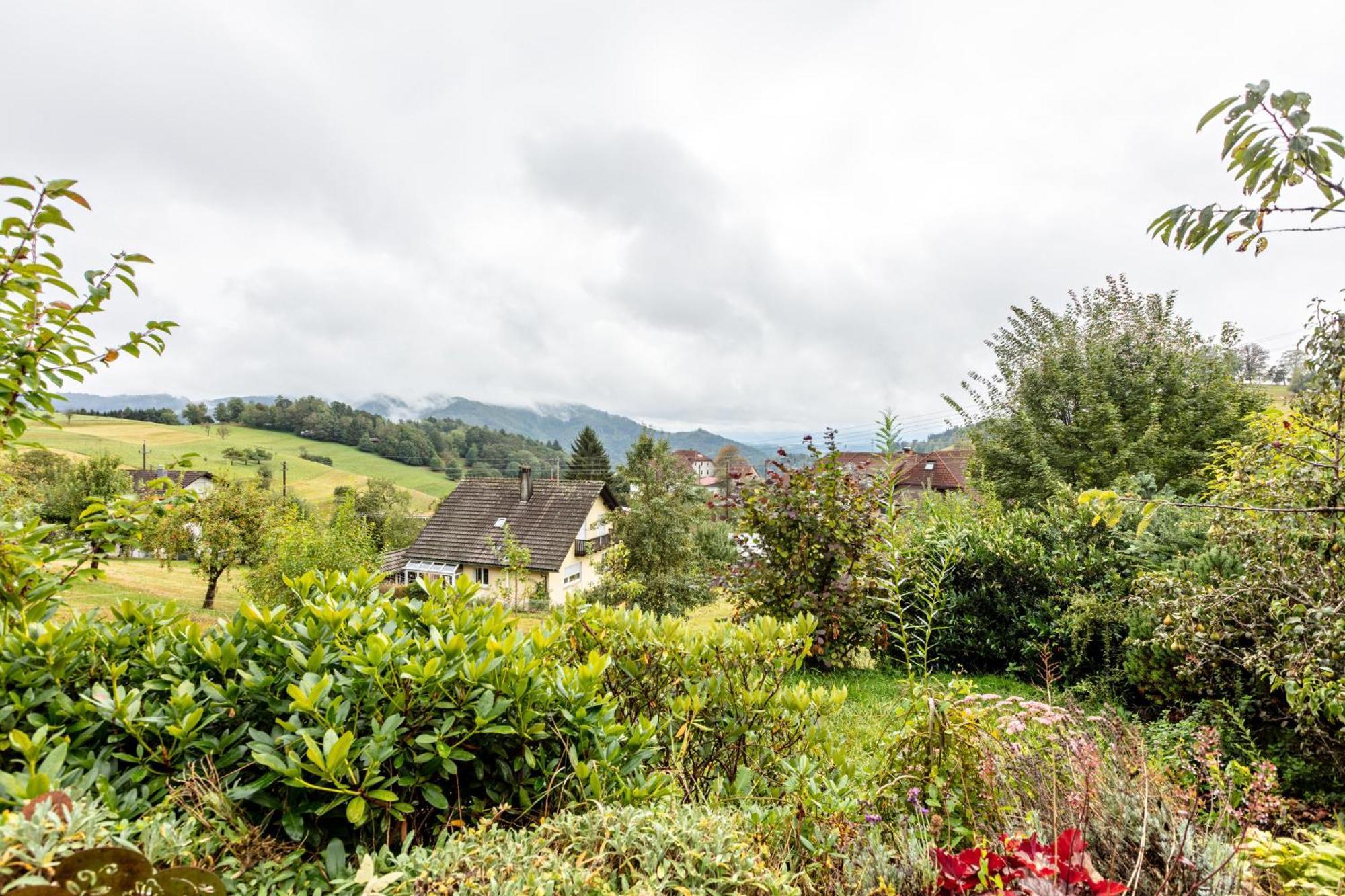 Haus Landblick Appartement Zell im Wiesenthal Buitenkant foto